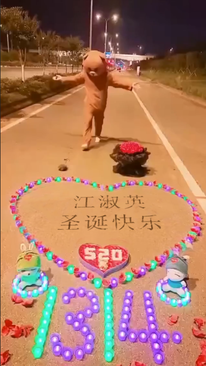 编号5637表白熊