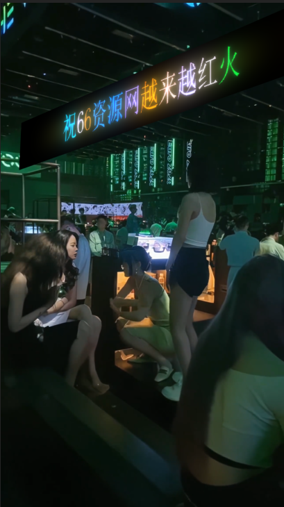 酒吧DJ美女AE模板编号1572